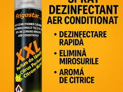 Spray dezinfectare aer conditionat Frigostar XXL aroma citrice 750 ml